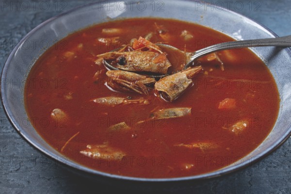 French shrimp bisque soup, in a plate, on a blue background, close-up, no people