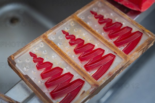 Red chocolate molds in a plastic tray, ready to make, Christmas baking, Haselstaller Hof, Wildberg, Calw district, Germany