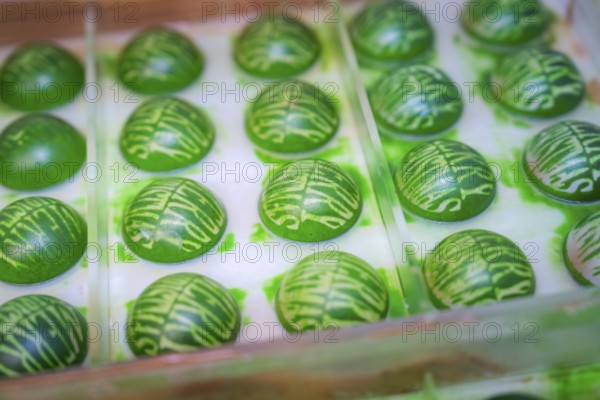 Green chocolates with decorative pattern in a transparent form, Christmas baking, Haselstaller Hof, Wildberg, Calw district, Germany