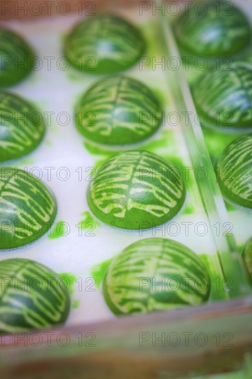 Green shaped chocolate balls with decorative pattern in a mold, Christmas baking, Haselstaller Hof, Wildberg, Calw district, Germany