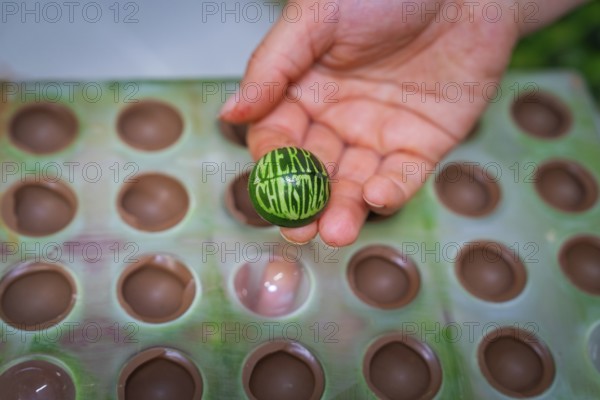 Hand holding green chocolate candy with Merry Christmas inscription out of a mold, Christmas baking, Haselstaller Hof, Wildberg, Calw district, Germany