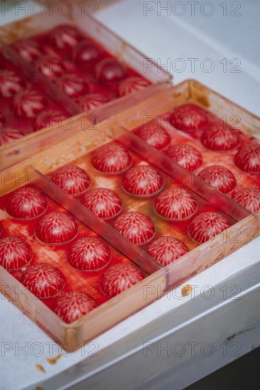 Red balls with white pattern lie in shaped individual compartments, Christmas baking, Haselstaller Hof, Wildberg, Calw district, Germany