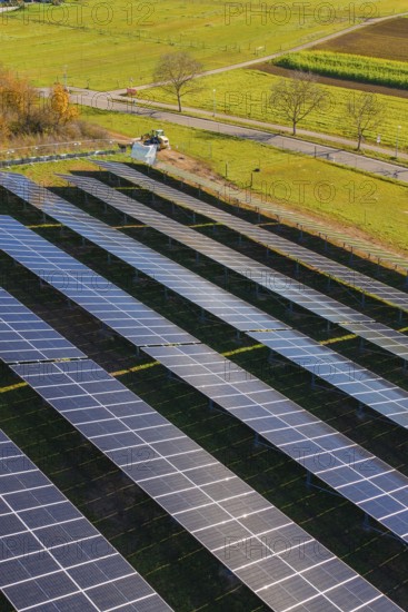 Close-up of solar panels in a field surrounded by autumn leaves, Bau PV Freifaechenanlage, Weil der Stadt, Germany