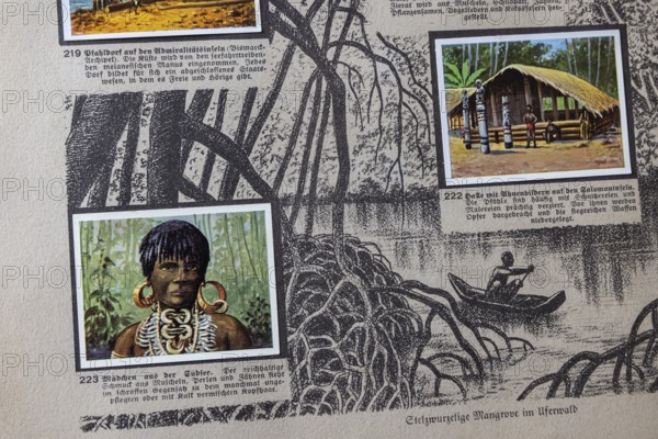 German colonies. Solomon and Admiralty Islands. Girls from the South Seas. Caption: The rich jewelry... stands in stark contrast to the sometimes unkempt... hair on the head. An anthology published by Cigaretten-Bilderdienst Dresden from 1936. Germany