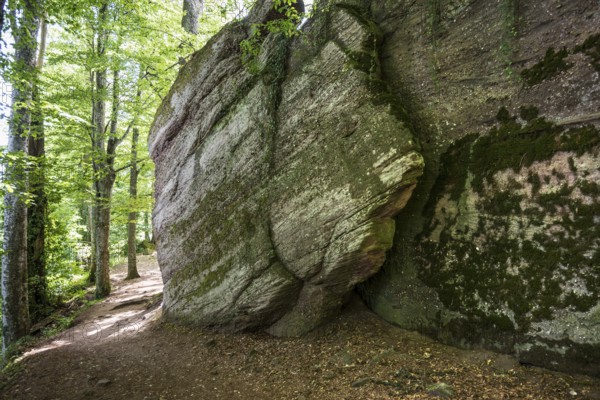 Hiking trail and rocks, Mont Sainte-Odile Abbey, Ottrott, Bas-Rhin Department, Alsace, France