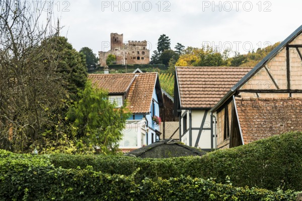 ChÃ¢teau Kintzheim timbered houses and castle, Kintzheim, Bas-Rhin department, Alsace, France