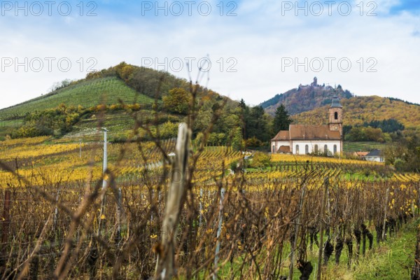 Chapel in the vineyards and castle ChÃ¢teau du Haut-KÅ“nigsbourg, Kintzheim, Bas-Rhin department, Alsace, France