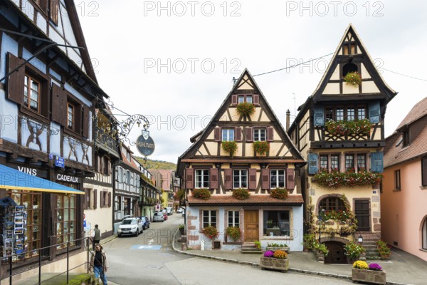 Medieval town and half-timbered houses, Dambach-la-Ville, Bas-Rhin, Alsace, France