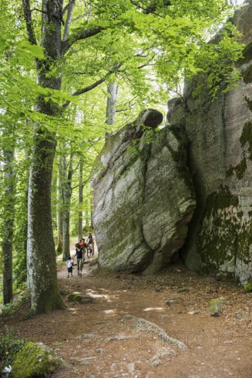 Hiking trail and rocks, Mont Sainte-Odile Abbey, Ottrott, Bas-Rhin Department, Alsace, France