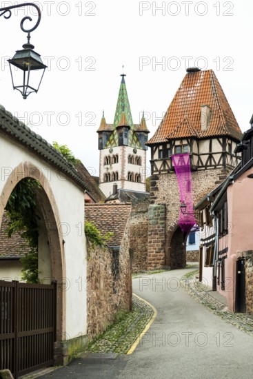Medieval town and half-timbered houses, ChÃ¢tenois, Bas-Rhin, Alsace, France