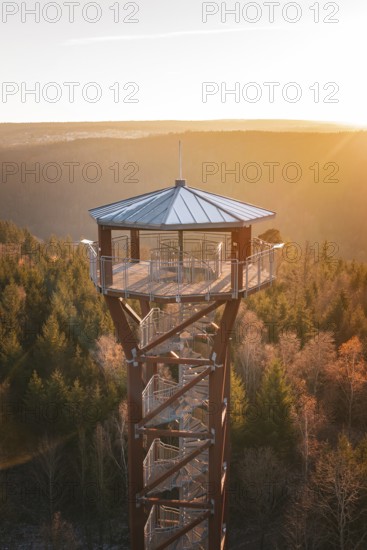 Upper part of the observation tower in warm evening light, surrounded by an autumnal forest, Hohe Warte observation tower, Hohenwart, Pforzheim, Germany