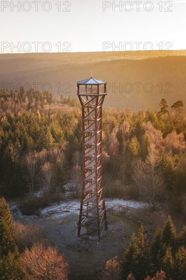Tower rises above autumn tree landscape, illuminated by warm sunset, Hohe Warte observation tower, Hohenwart, Pforzheim, Germany