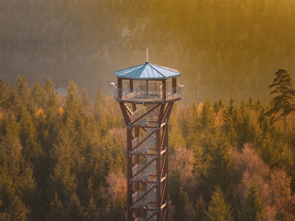 Observation tower surrounded by autumn trees in the soft light of sunset, Hohe Warte observation tower, Hohenwart, Pforzheim, Germany