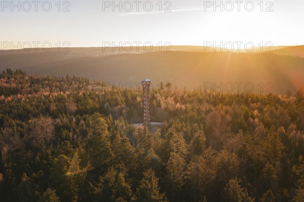An observation tower is located in the dense, autumnal forest at sunrise, Hohe Warte observation tower, Hohenwart, Pforzheim, Germany