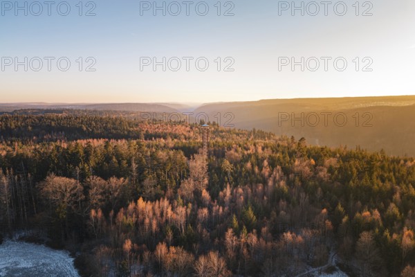 Sun-lit forest stretches to the horizon at dawn, Hohe Warte Observation Tower, Hohenwart, Pforzheim, Germany