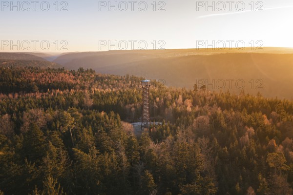 A vast forest landscape with a central observation tower at sunset, Hohe Warte observation tower, Hohenwart, Pforzheim, Germany