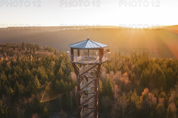 Upper part of an observation tower juts out of the surrounding forest in the light of sunset, Hohe Warte observation tower, Hohenwart, Pforzheim, Germany