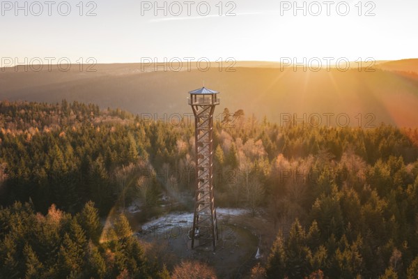 Sunlight breaks through trees, illuminates an observation tower, Hohe Warte observation tower, Hohenwart, Pforzheim, Germany