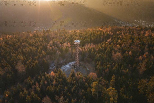 Observation tower at dusk, nestled in autumnal forests on a hill, Hohe Warte observation tower, Hohenwart, Pforzheim, Germany