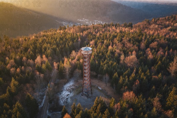 High observation tower in the middle of a thick, autumnal forest viewed from afar, Hohe Warte observation tower, Hohenwart, Pforzheim, Germany
