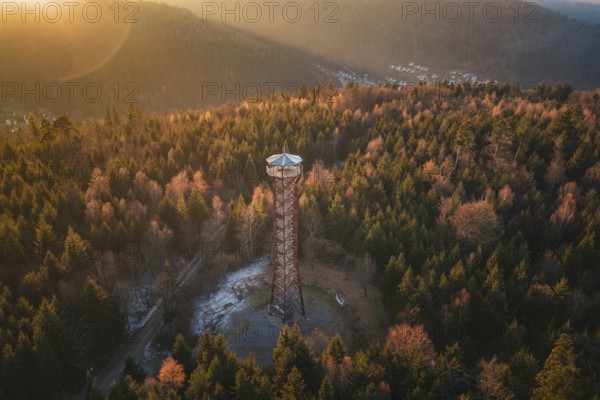 A high observation tower stands in the middle of a forest with autumn trees, Hohe Warte observation tower, Hohenwart, Pforzheim, Germany
