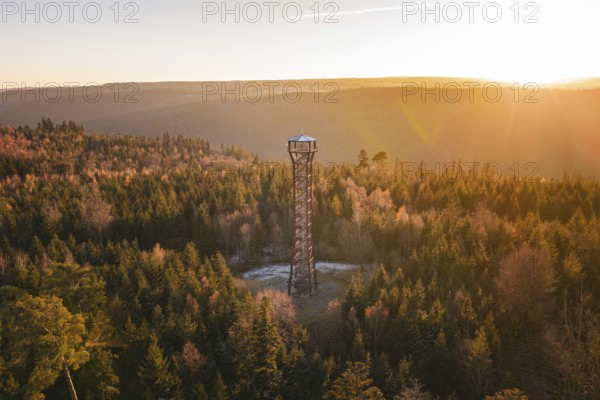 Observation tower overlooks a vast, autumnal forest under a gentle evening sky, Hohe Warte observation tower, Hohenwart, Pforzheim, Germany
