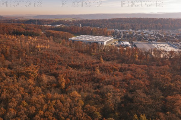 An extensive autumn forest with an industrial plant on the edge of the hill range, MÃ¼hlacker, Enzkreis, Germany