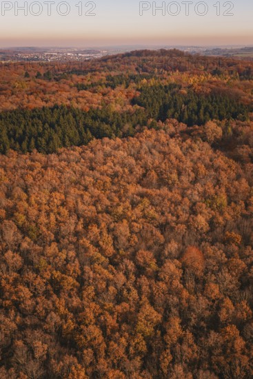 Densely wooded hilly landscape in warm autumn colors viewed from above, MÃ¼hlacker, Enzkreis, Germany