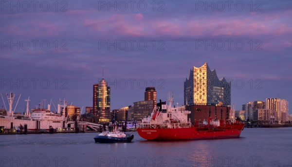 Trawler Wilhelmine Essberger, freight ship, sails across the Norderelbe in front of Elbe Philharmonic Hall, Elphie, museum ship Cap San Diego, Columbus House, Hafencity, Kehrwiederspitze, residential complex The Crown, Free and Hanseatic City of Hamburg, evening light, twilight, Germany