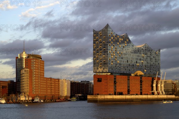 View over the Norderelbe to the Elbe Philharmonic Hall, Elphie, Columbus House, Hafencity, Kehrwiederspitze, Free and Hanseatic City of Hamburg, evening light, golden hour, Germany