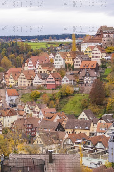 Idyllic city view with half-timbered houses on a hill surrounded by autumn leaves and cloudy sky, Altensteig, Calw district, Germany