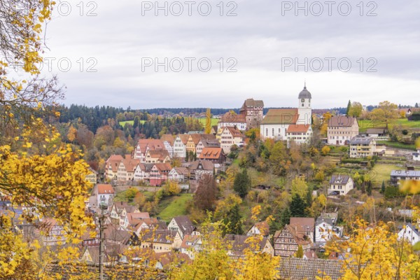 Panorama of a traditional town with church tower, surrounded by autumn landscape and fields, Altensteig, Calw district, Germany