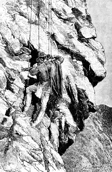 Search for mummies in the Peruvian Cordillera, Peru, Europeans, archeology, steep rock face, roping, danger, Andes, South America, travel, historical illustration around 1900