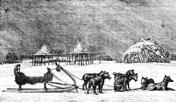 Dog sledding on the Kamchatka peninsula, sled dogs, husky with harness, cold climate, ice, snow, frost, cold, long winter stilt houses, pantries, wooden hut, break, Russia, Asia, travel, historical illustration around 1900