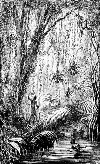Indigenous and European researcher in the Brazilian jungle, river, inner tropics, tropical vegetation, tropical climate, dense vegetation, flora, biology, Brazil, South America, travel, historical illustration around 1900