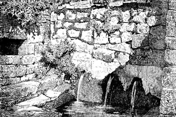 Historic Inca bath near Lake Titicaca, water source, flows, water basin, steps, rocks, walls, plants, Peru, South America, Andes, travel, historical illustration around 1900