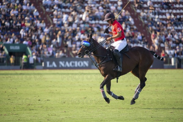 Polo player Francisco Elizalde from the La Irenita La Hache team at the 132nd Argentine Open Polo Championship (Spanish 132nd Abierto Argentino de Polo de Palermo) at the Polo Stadium in Buenos Aires, Argentina