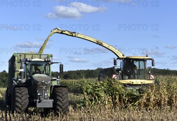 Forage harvesters harvesting corn, Schleswig-Holstein, Germany