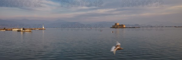 Bourtzi island fortress, castle on an island in the vast sea with a flying seagull in the foreground, Nauplion, Nafplion, Peloponnese, Greece