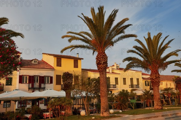 Old town of Nauplion, Mediterranean houses with palm trees in front of them in evening sunlight, Nauplion, Nafplion, Peloponnese, Greece