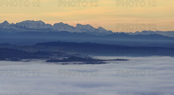 View from the Gisiflue over the sea of fog, the snowy Bernese Alps in the morning light, Talheim, Canton, Aargau, Switzerland
