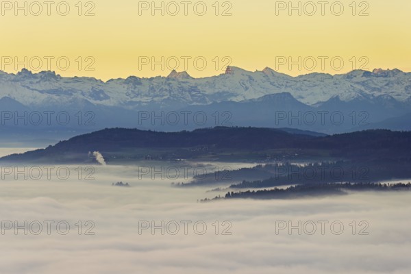 View from the Gisiflue over the sea of fog, with the snowy Central Swiss Alps with Mount Titlis in the morning light, Talheim, Canton, Aargau, Switzerland
