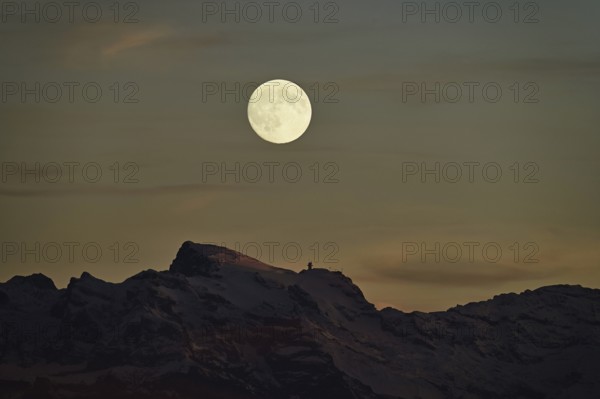 View of snow-covered Titlis from Horben in the light of a full moon, Beinwil-Freiamt, Canton, Aargau, Switzerland