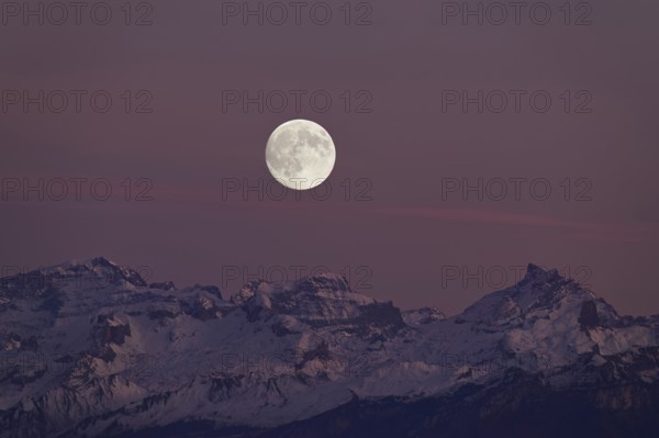 View from Horben of the snow-covered mountains from the left TÃ¶di, Chammliberg, SchÃ¤rhorn, in the light of the full moon, Beinwil-Freiamt, Canton, Aargau, Switzerland