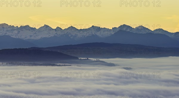 View from the Gisiflue over the sea of fog, with the snowy Central Swiss Alps in the morning light, Talheim, Canton, Aargau, Switzerland