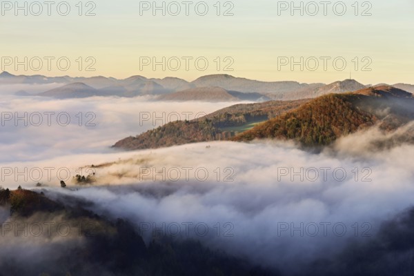 View from the Gisliflue of the Jura foothill Wasserfluh covered in fog, in the light of the rising sun, Talheim, Canton of Aargau, Switzerland