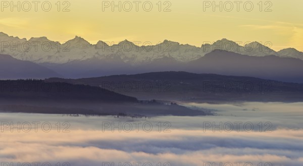 View from the Gisiflue over the sea of fog, with the snow-covered Glarner Alps in the morning light, Talheim, Canton of Aargau, Switzerland