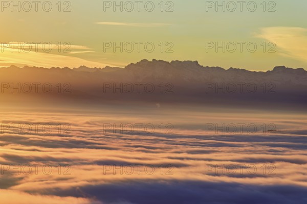 View from the Gisiflue over the sea of fog, the snow-covered Glarner Alps in the morning light, Talheim, Canton, Aargau, Switzerland