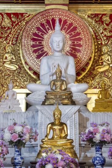 Various Buddha statues, Bhumispara mudra, Buddha Gautama at the moment of enlightenment, as well as meditating and teaching, Wat Sitthawararam, Bangkok, Thailand