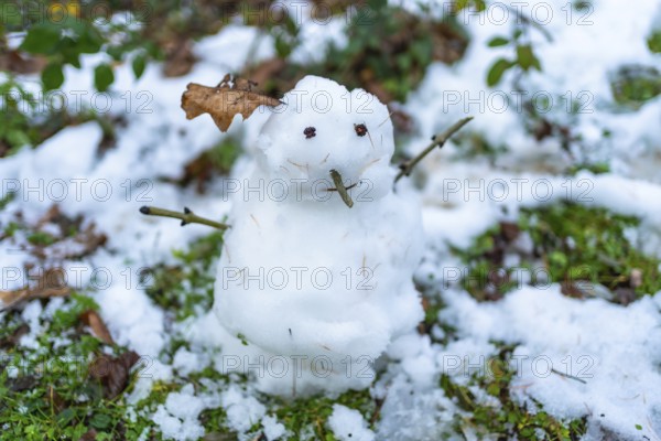 Small snowman standing in the forest, created from fresh white snow with stick arms, tiny twig nose, and berry eyes, demonstrating winter fun and creativity in nature